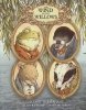 WIND IN THE WILLOWS WITH ILLUSTRATIONS BY DAVID PETERSEN TP [9798887243702]